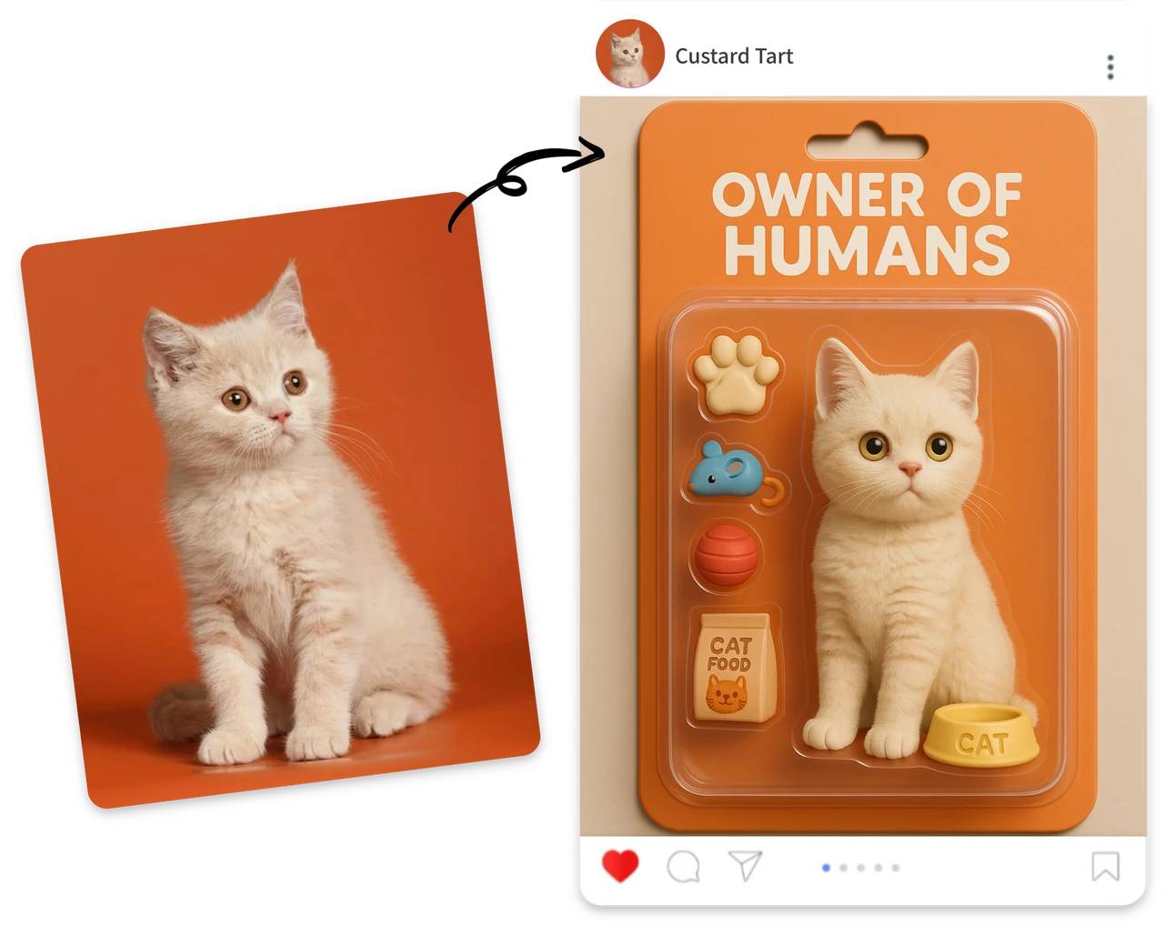 Content Creation for Social Media and Storytelling