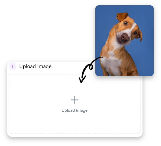 Upload Your Reference Images