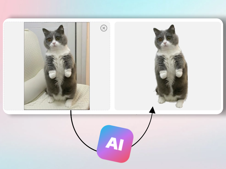 Automatic Background Removal