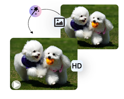 Make Live Photos to Revive Your Sweet Pets